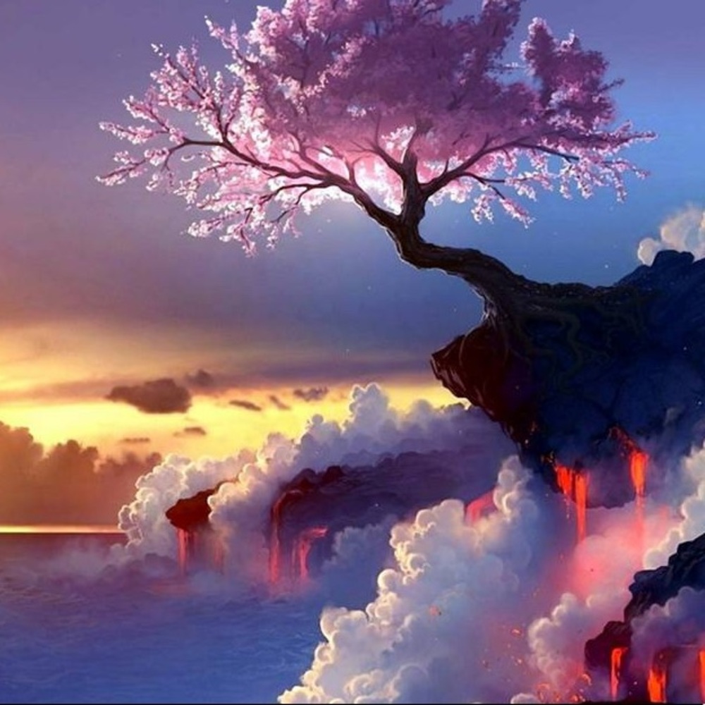 Meet your Posher, Miriam